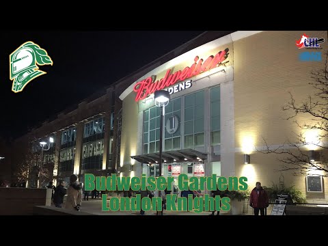 🏒 Budweiser Gardens - London Knights 2019 panorama